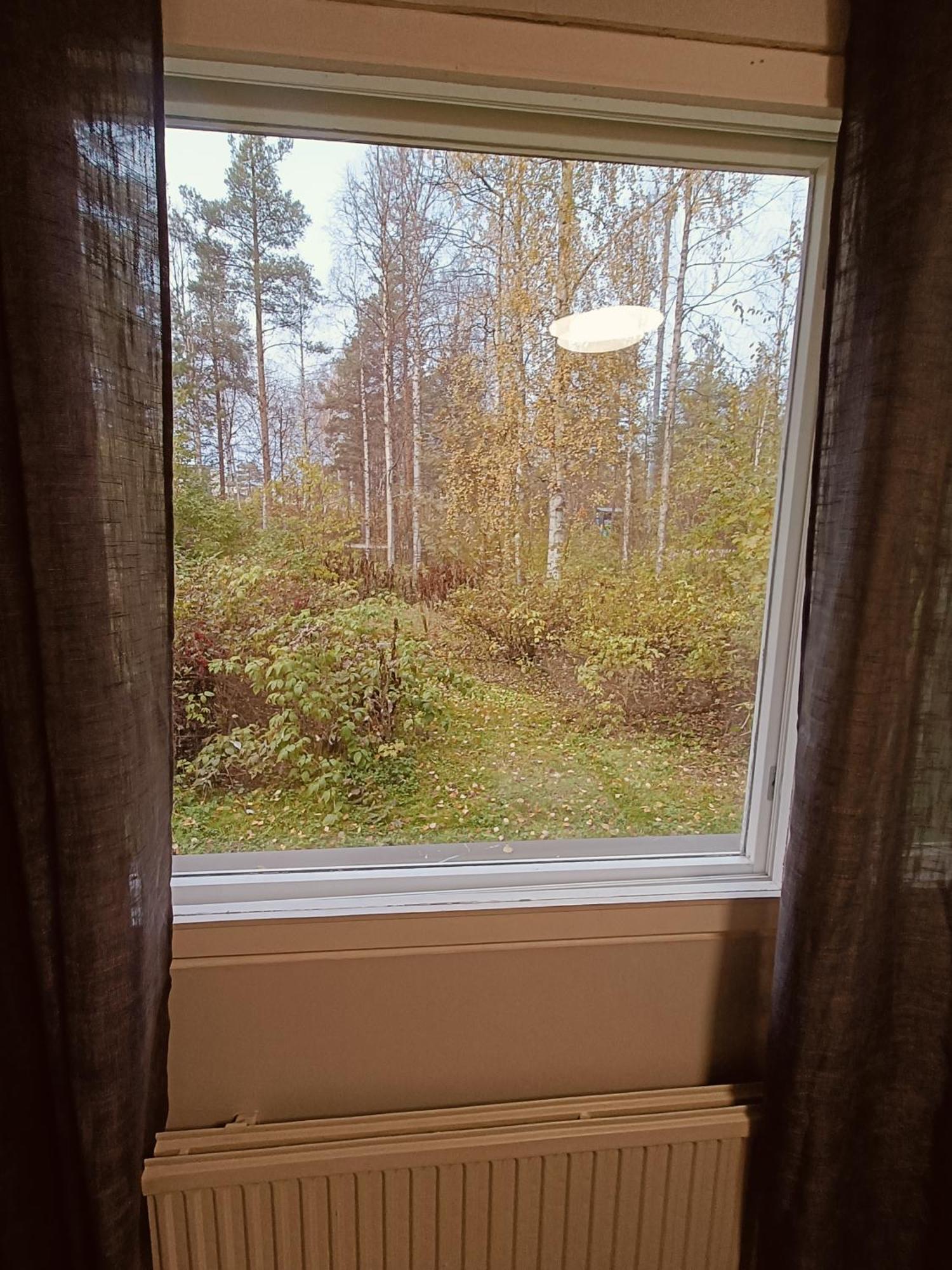 Lingonberry * Rovaniemi